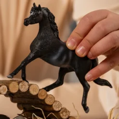 Étalon Arabe