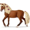 Étalon Paso Fino Spectacle équestre