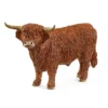 Taureau highland
