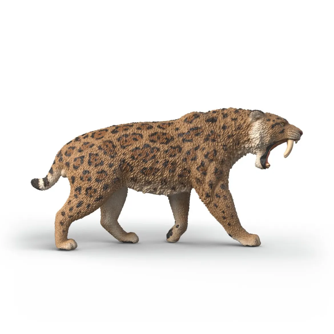 Tigre à dents de sabre