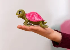 Tortue de Cristal