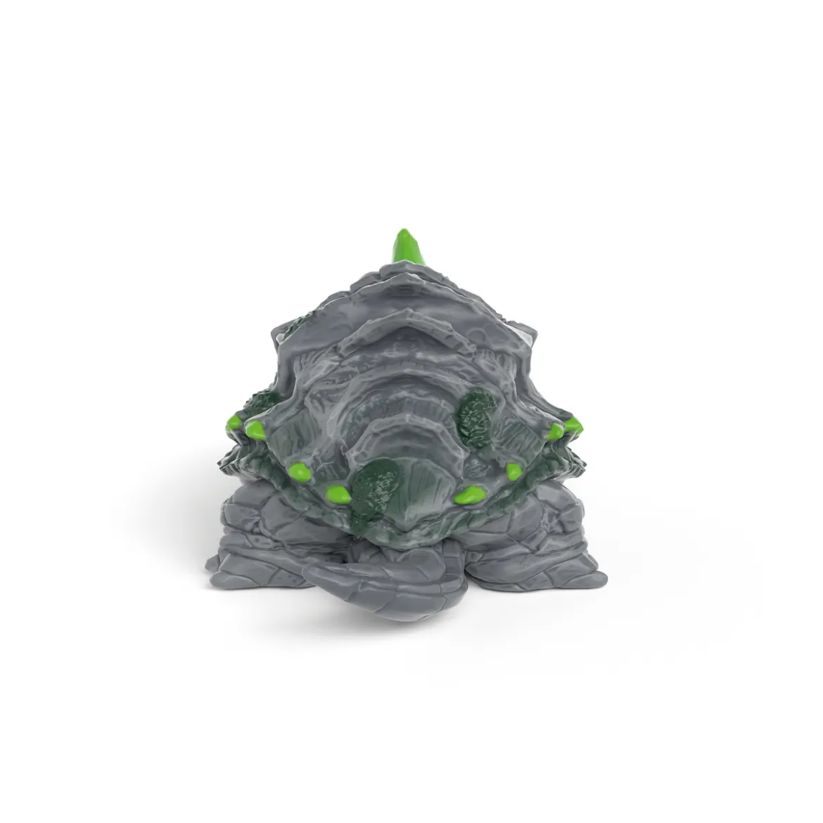 Tortue de pierre