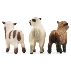 Trio de moutons