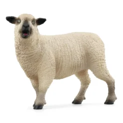 Trio de moutons