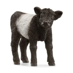 Veau Galloway