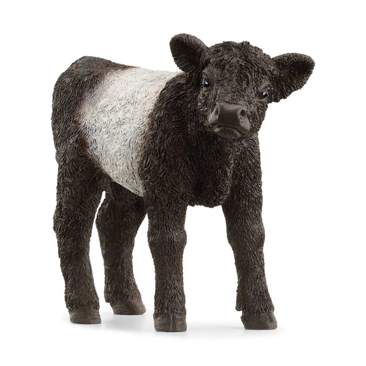 Veau Galloway
