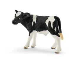 Veau Holstein