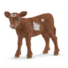Veau Texas Longhorn (Bundle)