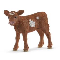 Veau Texas Longhorn (Bundle)
