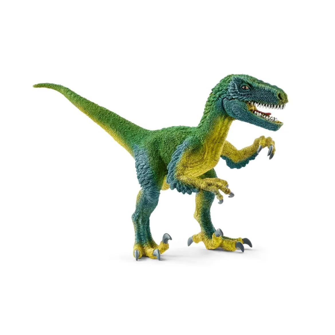 Vélociraptor