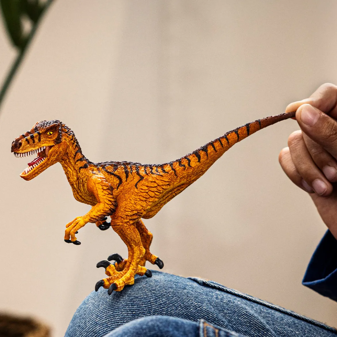 Vélociraptor